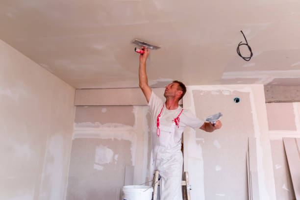 Best Fire-Damaged Drywall Repair  in Pasadena Hills, FL